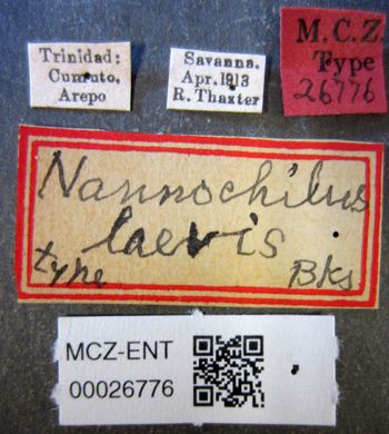 Media type: image;   Entomology 26776 Aspect: labels